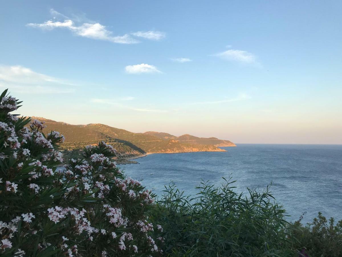 Case Vacanza Mare Nostrum 托雷德尔斯泰尔 外观 照片